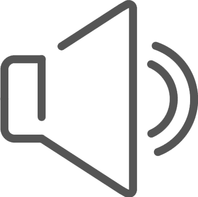 Standard Audio Master